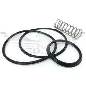 4inch NON RETURN VALVE SEAL KIT EPDM C/W SPRING