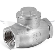 2.5inch BSPP SWING CHECK VALVE 316