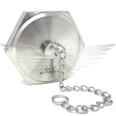 4Inch RJT BLANK NUT + CHAIN 316