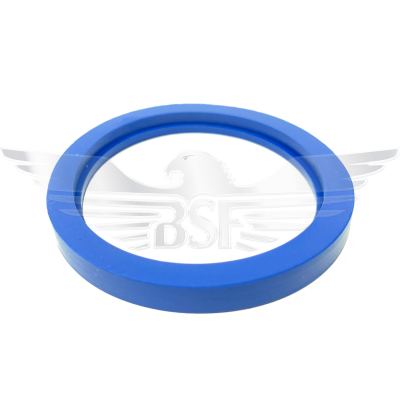 2Inch SMS METAL DETECTABLE JOINT RING EPDM - BLUE