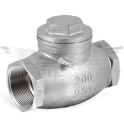 3Inch BSPP SWING CHECK VALVE 316
