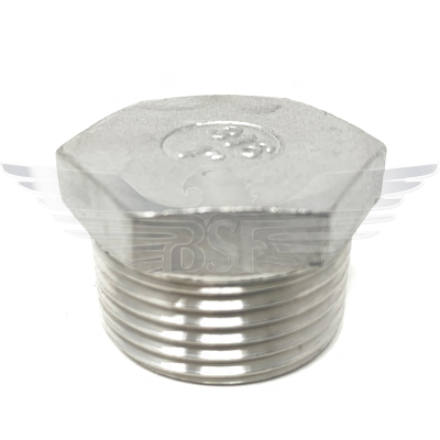 1.5Inch BSPT HEX PLUG 150LB 316